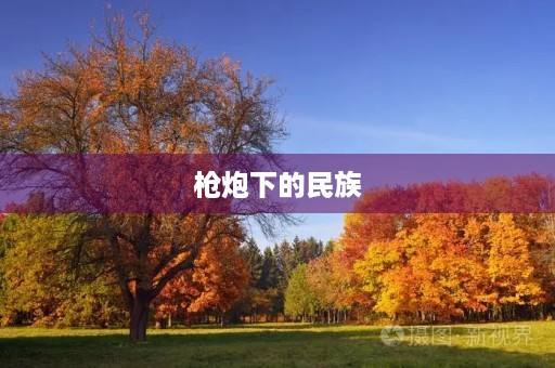 枪炮下的民族 枪炮下的民族