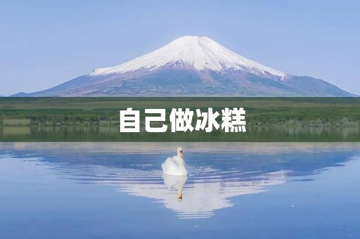 自己做冰糕 自己做冰糕