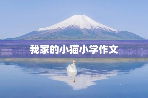 我家的小猫小学作文 我家的小猫小学作文