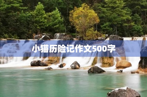 小猫历险记作文500字 小猫历险记作文500字