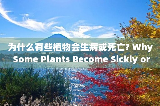 为什么有些植物会生病或死亡? Why Some Plants Become Sickly or Die? 为什么有些植物会生病或死亡? Why Some Plants Become Sickly or Die?
