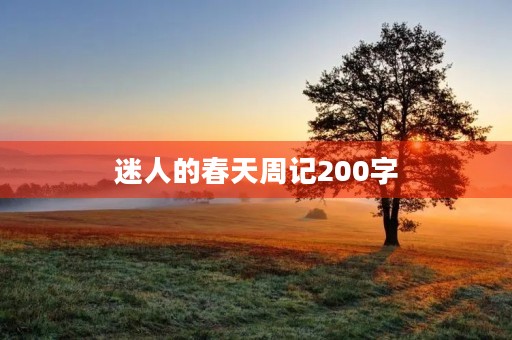 迷人的春天周记200字 迷人的春天周记200字
