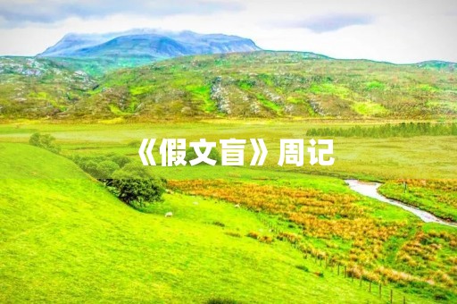 《假文盲》周记