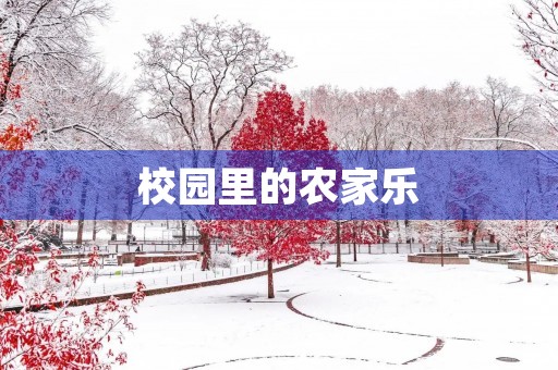 校园里的农家乐 校园里的农家乐