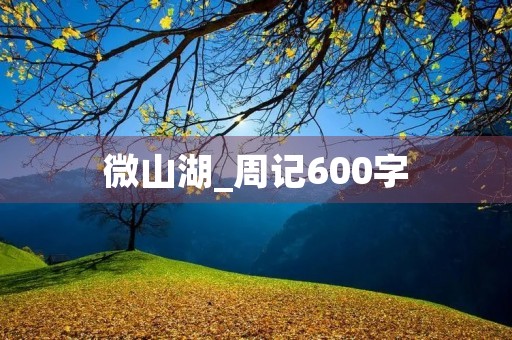 微山湖_周记600字
