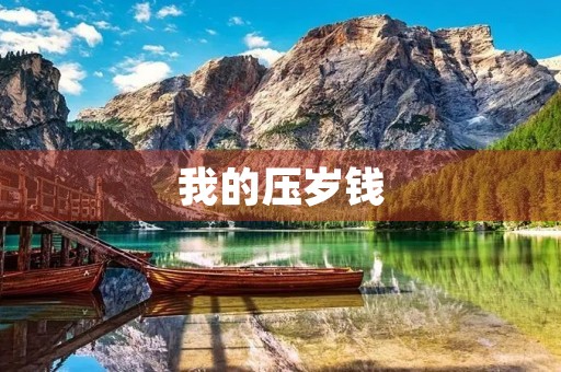 我的压岁钱 我的压岁钱