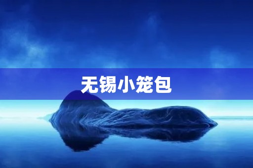 无锡小笼包 无锡小笼包