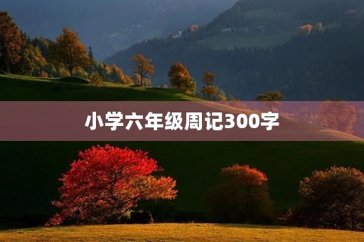 小学六年级周记300字 小学六年级周记300字