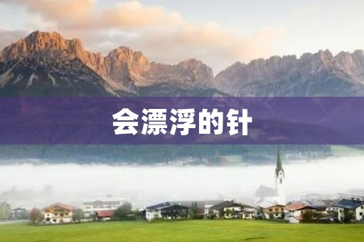 会漂浮的针 会漂浮的针