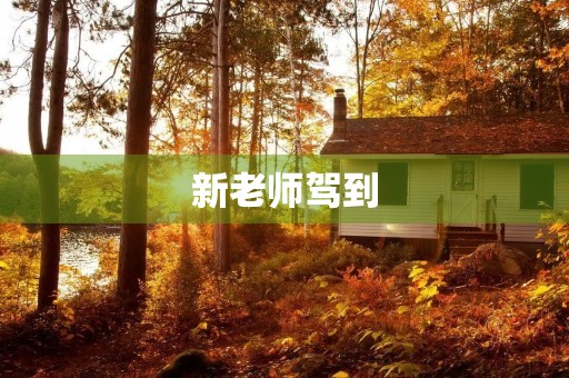 新老师驾到 新老师驾到
