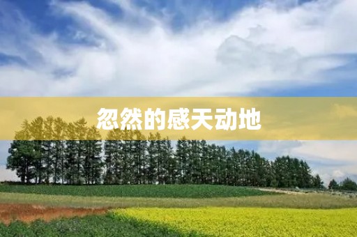 忽然的感天动地
