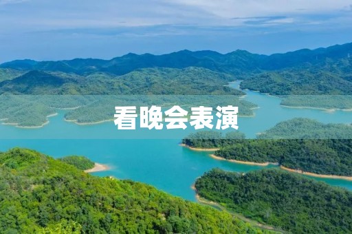 看晚会表演