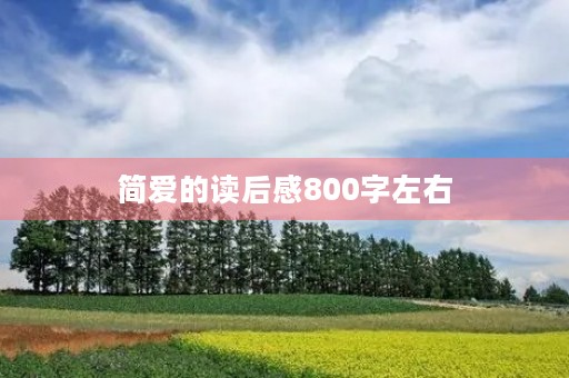 简爱的读后感800字左右