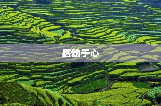 感动于心 感动于心