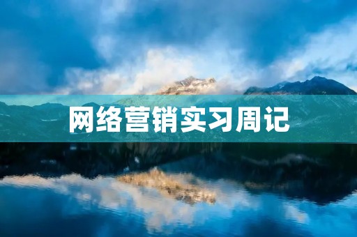 网络营销实习周记
