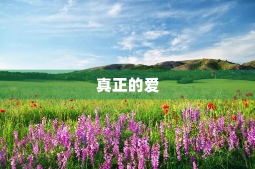 真正的爱 真正的爱