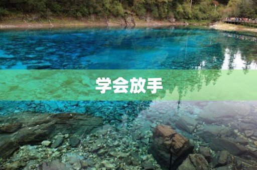 学会放手 学会放手