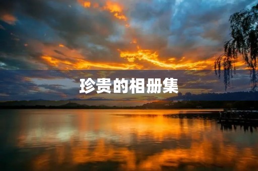 珍贵的相册集 珍贵的相册集