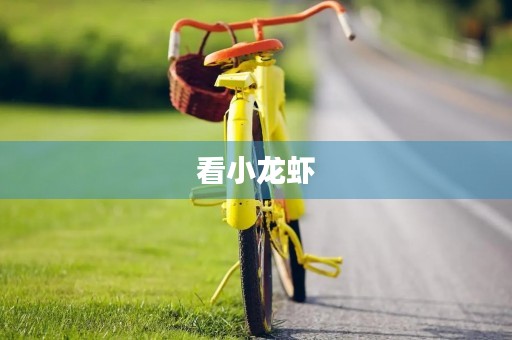 看小龙虾 看小龙虾