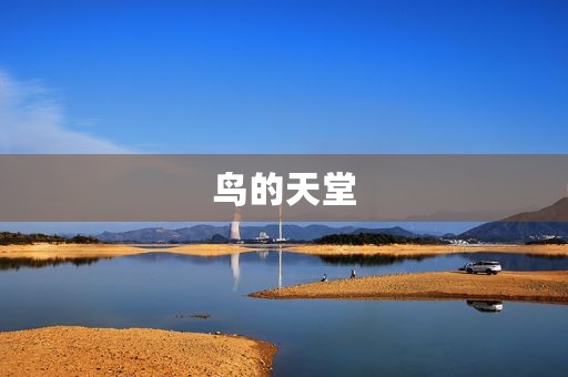 鸟的天堂 鸟的天堂