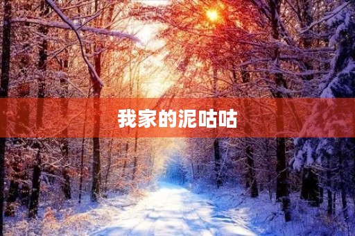 我家的泥咕咕 我家的泥咕咕