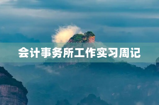 会计事务所工作实习周记 会计事务所工作实习周记