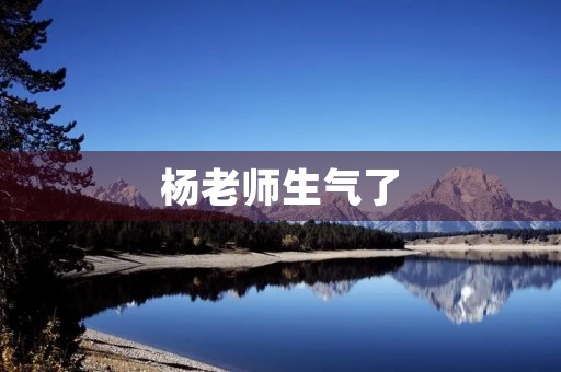 杨老师生气了 杨老师生气了