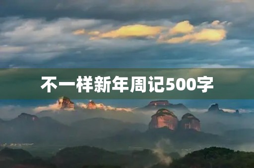 不一样新年周记500字