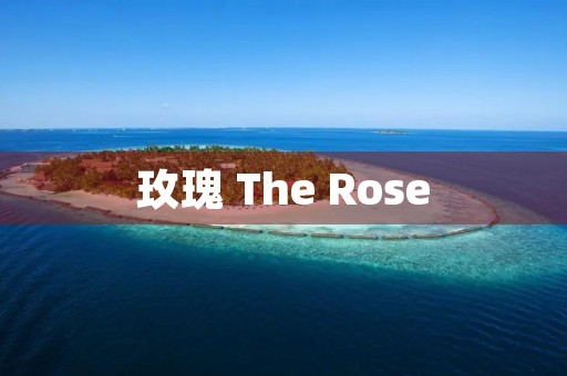 玫瑰 The Rose 玫瑰 The Rose