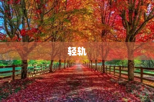 轻轨 轻轨
