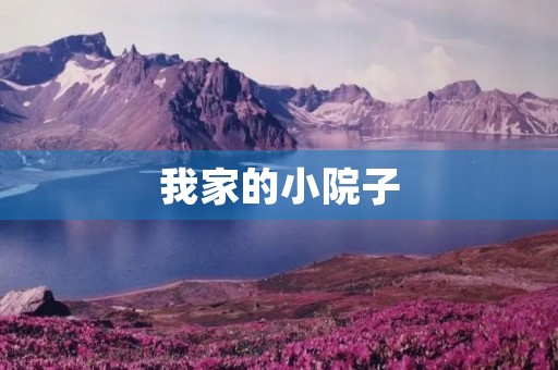 我家的小院子 我家的小院子