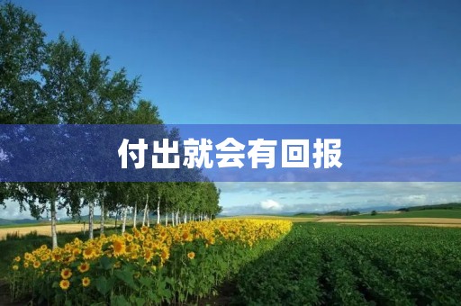 付出就会有回报 付出就会有回报