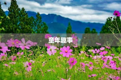 童年趣事 童年趣事