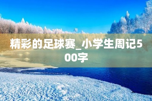 精彩的足球赛_小学生周记500字 精彩的足球赛_小学生周记500字