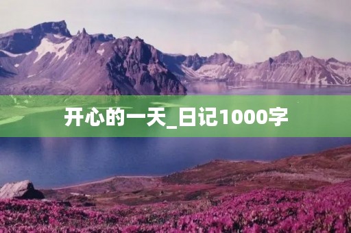 开心的一天_日记1000字