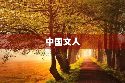 中国文人 中国文人