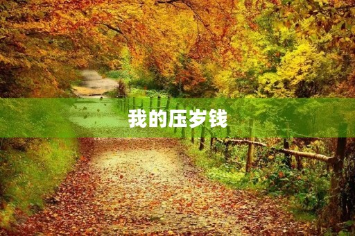 我的压岁钱 我的压岁钱