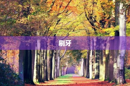 刷牙 刷牙