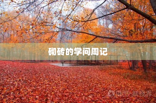 砌砖的学问周记 砌砖的学问周记
