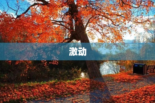 激动 激动