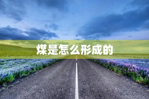煤是怎么形成的 煤是怎么形成的