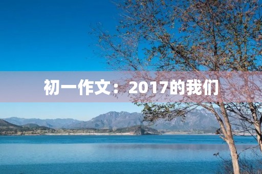 初一作文：2017的我们