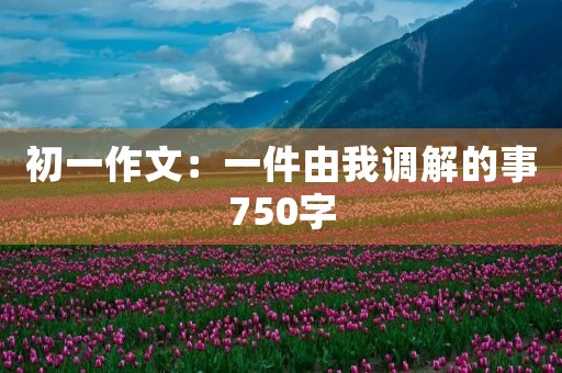 初一作文：一件由我调解的事750字