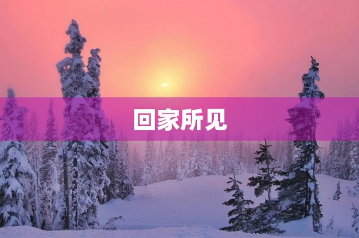 回家所见 回家所见