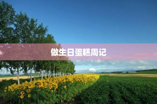 做生日蛋糕周记