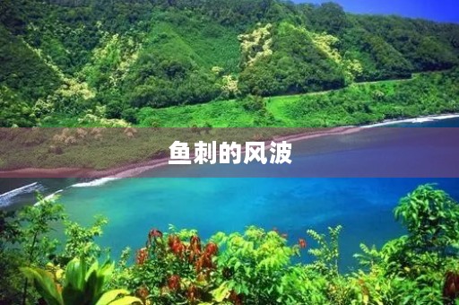 鱼刺的风波 鱼刺的风波