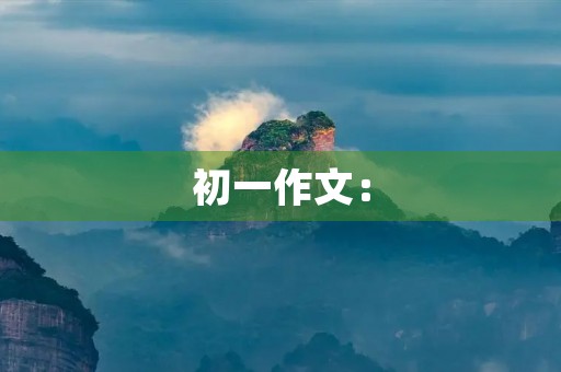 初一作文：【观察与感悟】这才是真正的追星