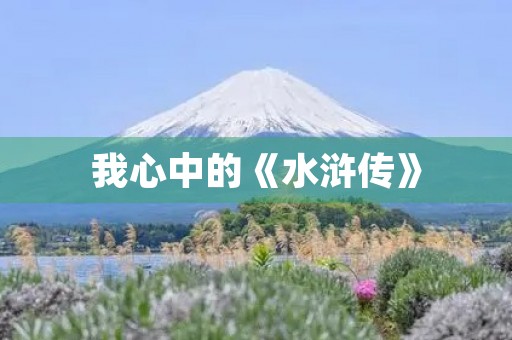 我心中的《水浒传》