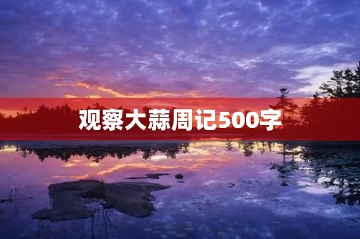 观察大蒜周记500字 观察大蒜周记500字