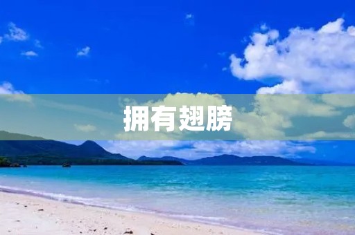 拥有翅膀 拥有翅膀